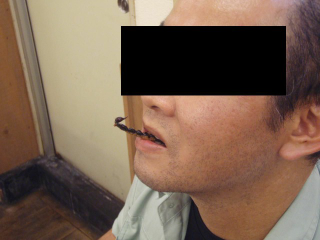 Illustration for article titled Fried Scorpion? Osaka Restaurant Serves Up Unusual Eats